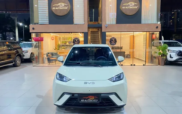 byd dolphin mini gs