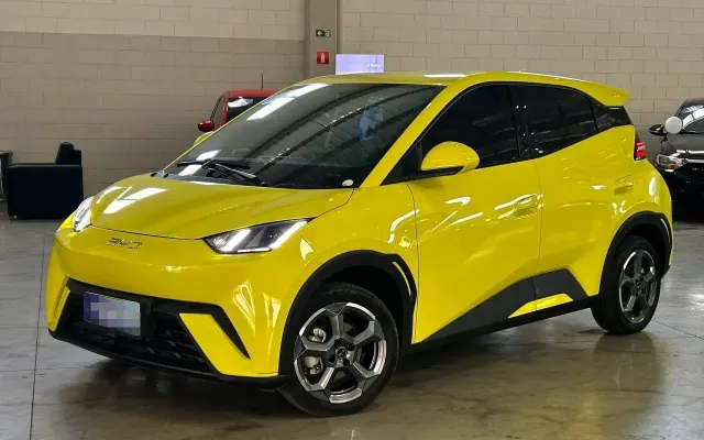 byd dolphin mini gs