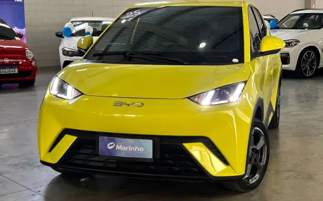 byd dolphin mini gs