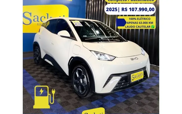 byd dolphin gs