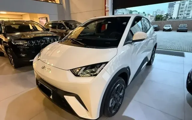 byd dolphin mini gs
