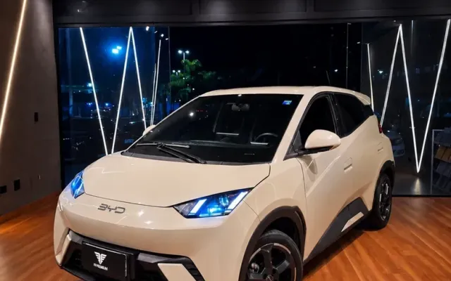 byd dolphin mini base