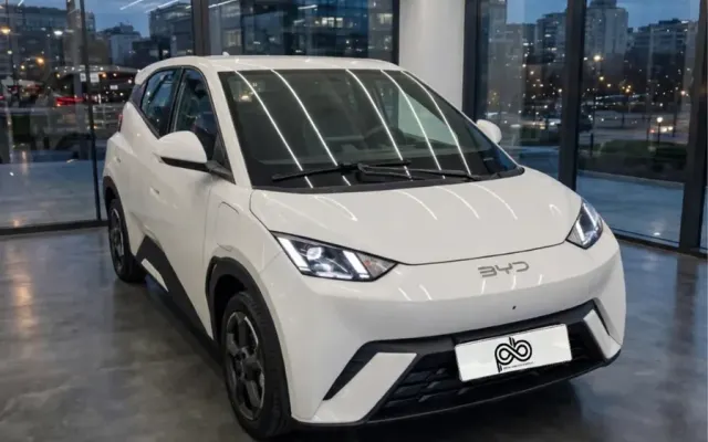 byd dolphin mini base