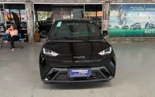 byd dolphin mini