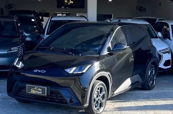 byd dolphin mini