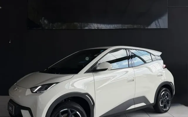 byd dolphin mini