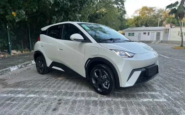 byd dolphin mini gs