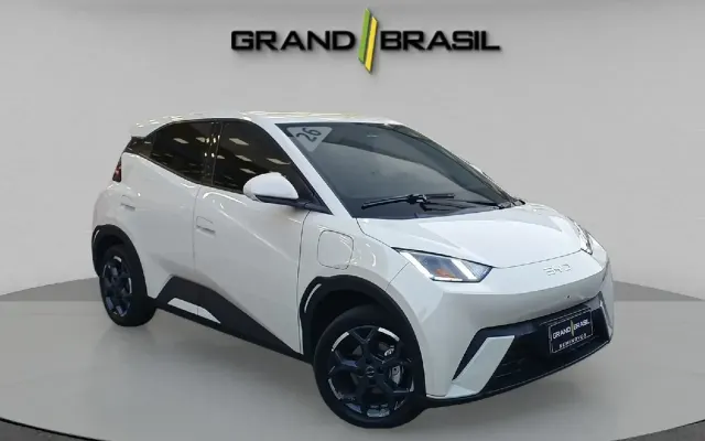 byd dolphin mini gs