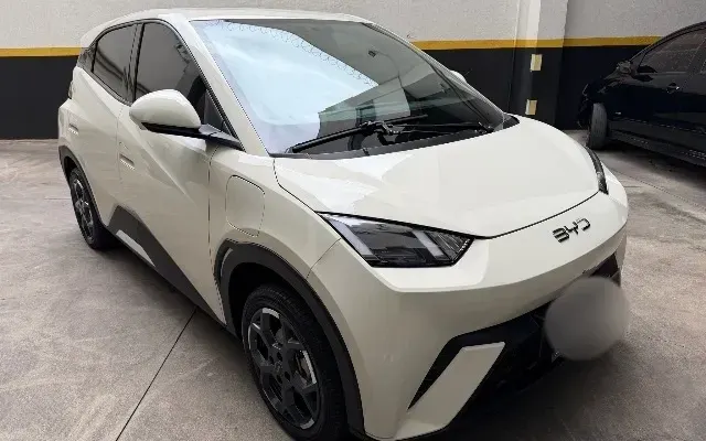 byd dolphin mini gs