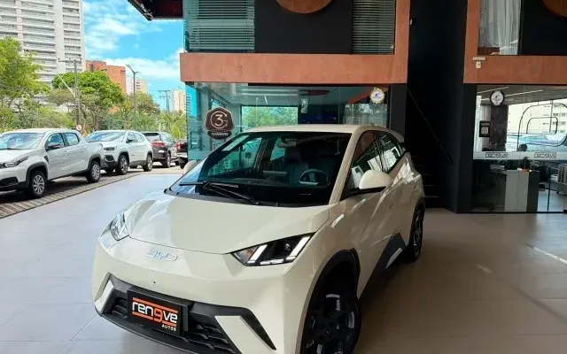 byd dolphin mini gs