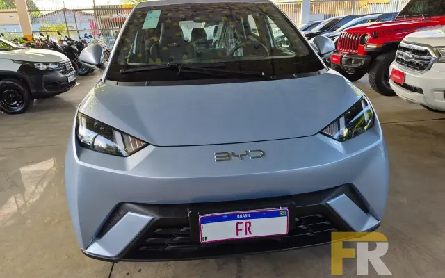 byd dolphin gs