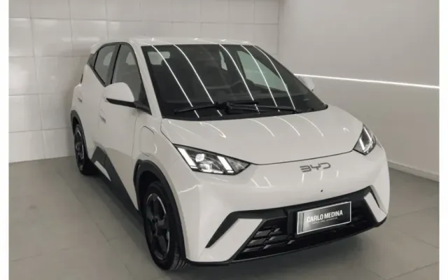 byd dolphin mini gs