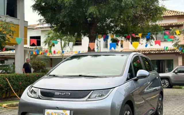 byd dolphin gs