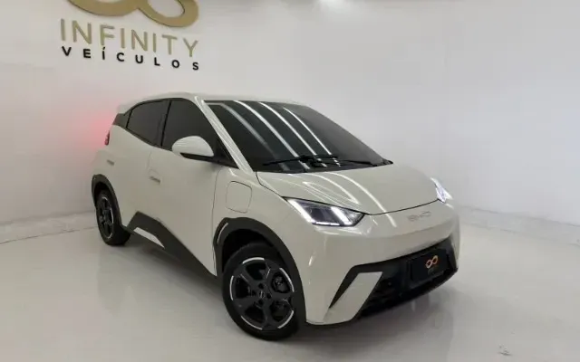 byd dolphin mini gs