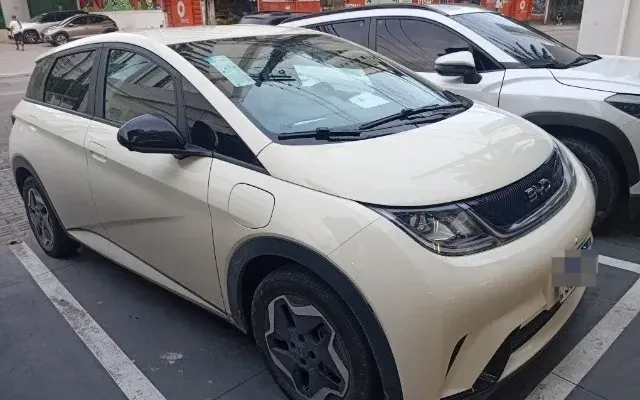 byd dolphin gs