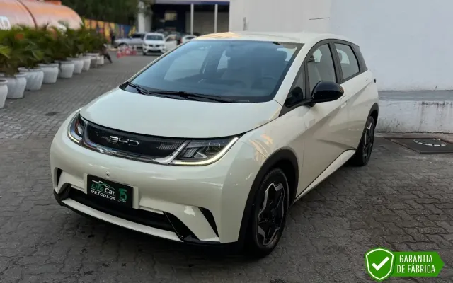 byd dolphin gs