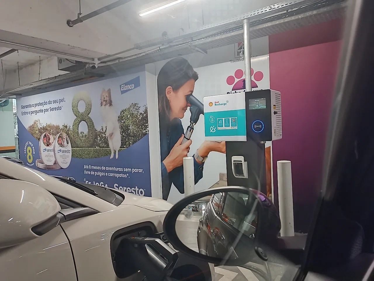 Estação Shell Recharge | Angeloni Capoeiras
