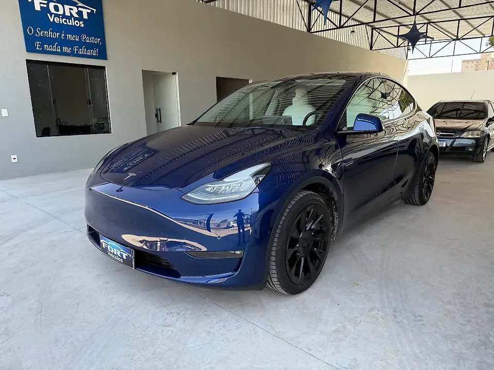 Tesla Model Y - Imagem 1
