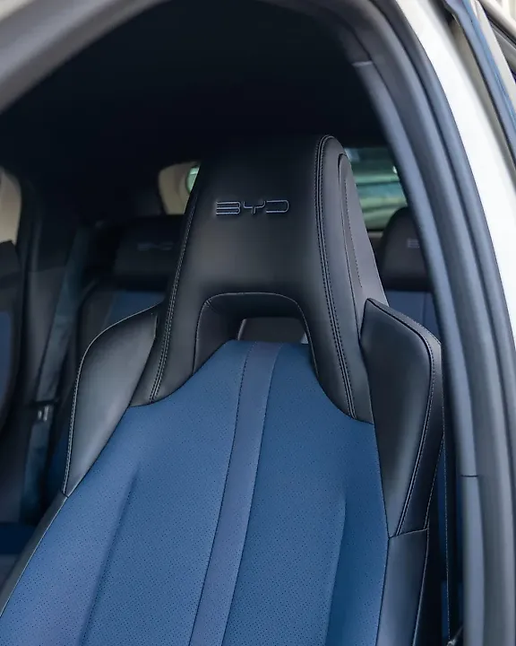 BYD Dolphin Mini - Imagem 11