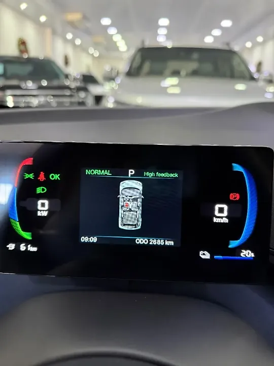 BYD Dolphin Mini - Imagem 9