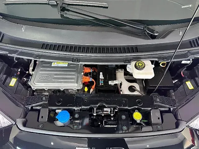 BYD Dolphin Mini - Imagem 18
