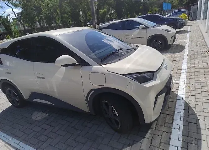 BYD Dolphin Mini - Imagem 2