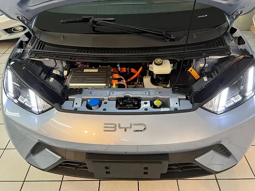 BYD Dolphin Mini - Imagem 12