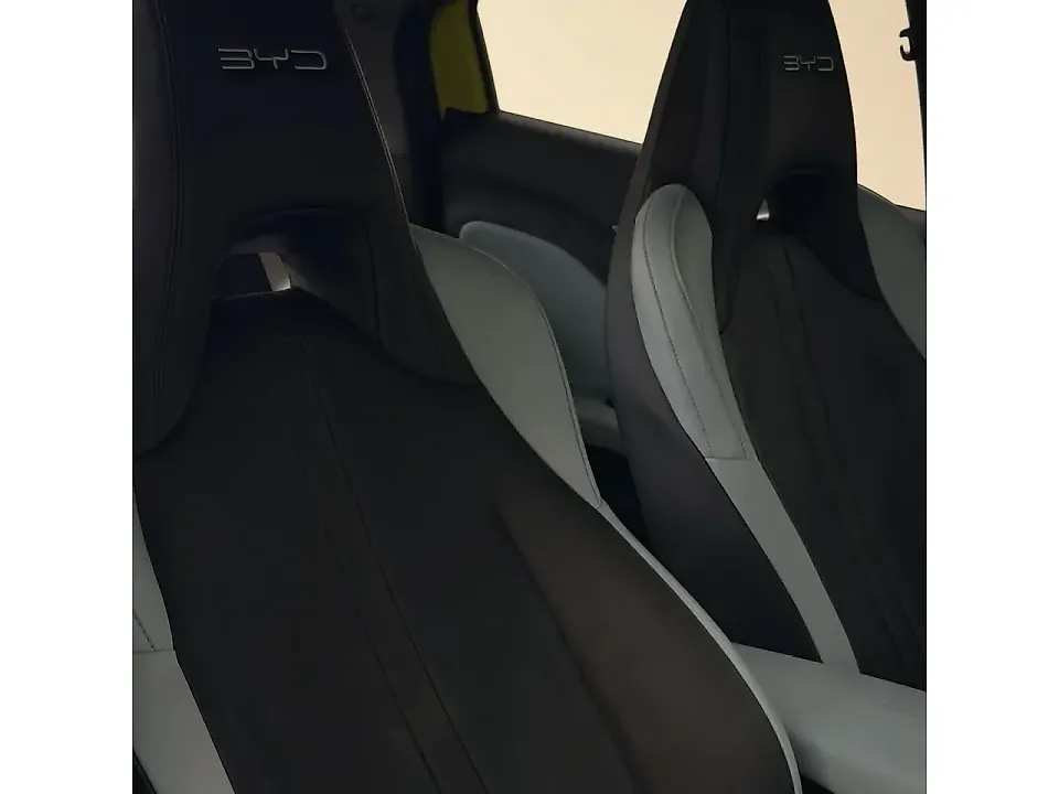 BYD Dolphin Mini - Imagem 12