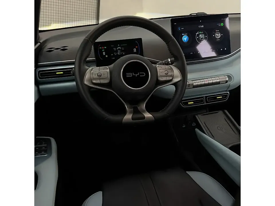 BYD Dolphin Mini - Imagem 9