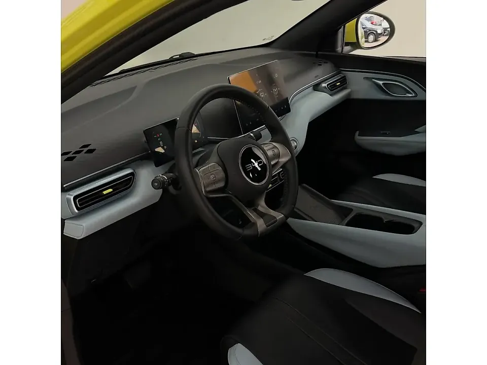 BYD Dolphin Mini - Imagem 11