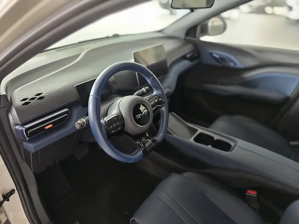 BYD Dolphin Mini - Imagem 11