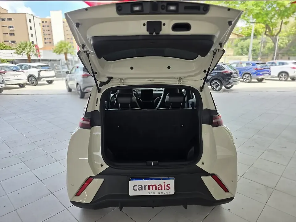 BYD Dolphin Mini - Imagem 13