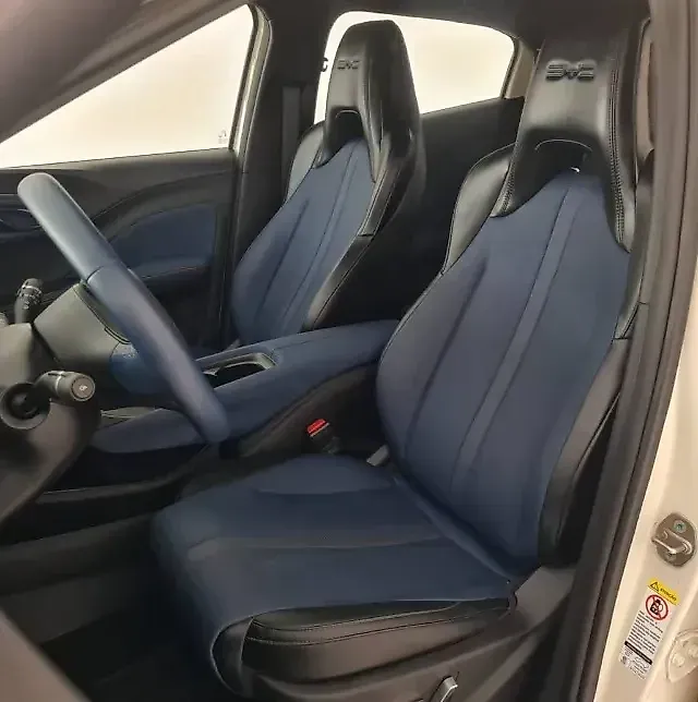 BYD Dolphin Mini - Imagem 7