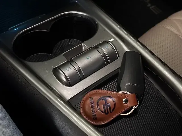 BYD Dolphin - Imagem 12
