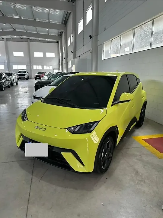 BYD Dolphin Mini - Imagem 1