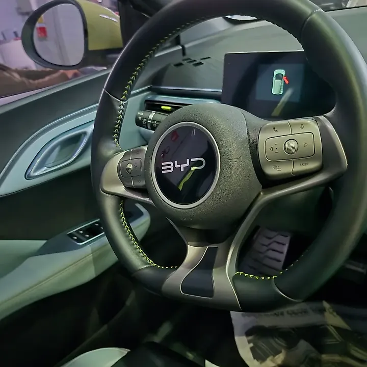 BYD Dolphin Mini - Imagem 7
