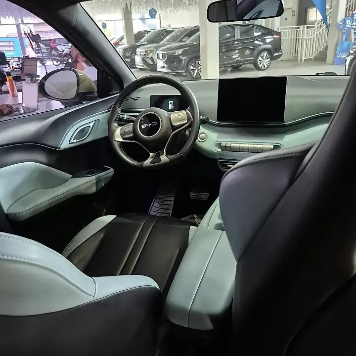 BYD Dolphin Mini - Imagem 10