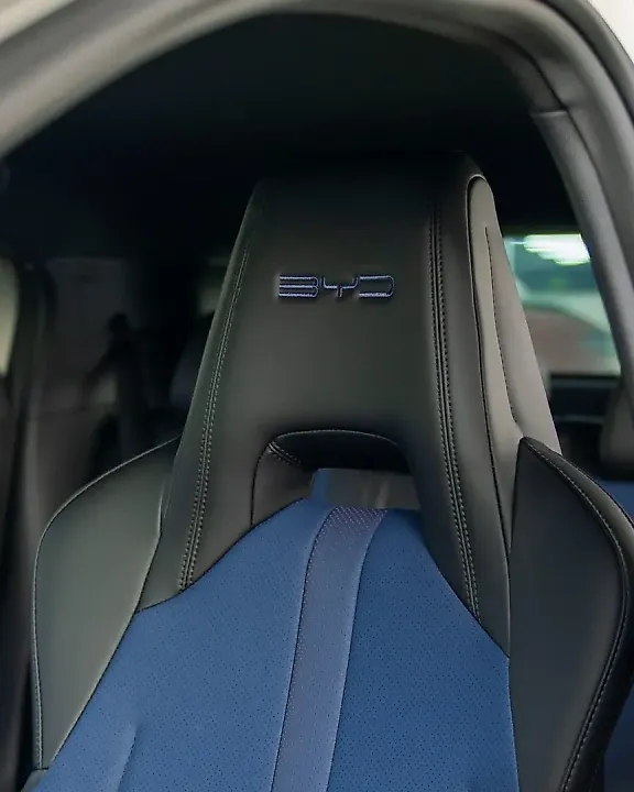 BYD Dolphin Mini - Imagem 9