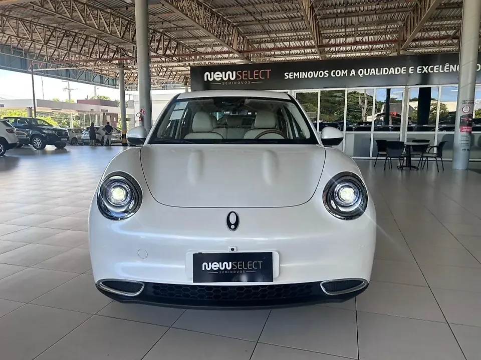 GWM Ora 03 - Imagem 1