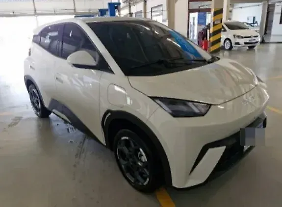 BYD Dolphin Mini - Imagem 1