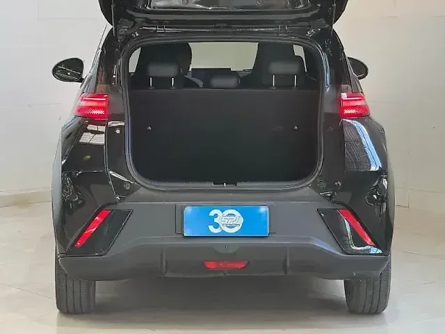 BYD Dolphin Mini - Imagem 19