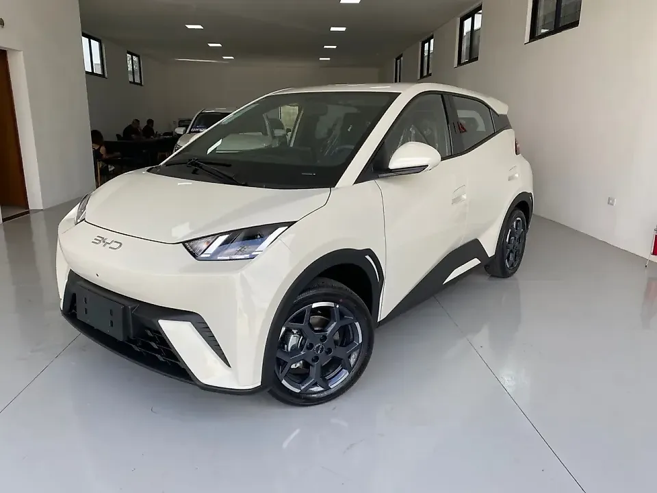 BYD Dolphin Mini - Imagem 2
