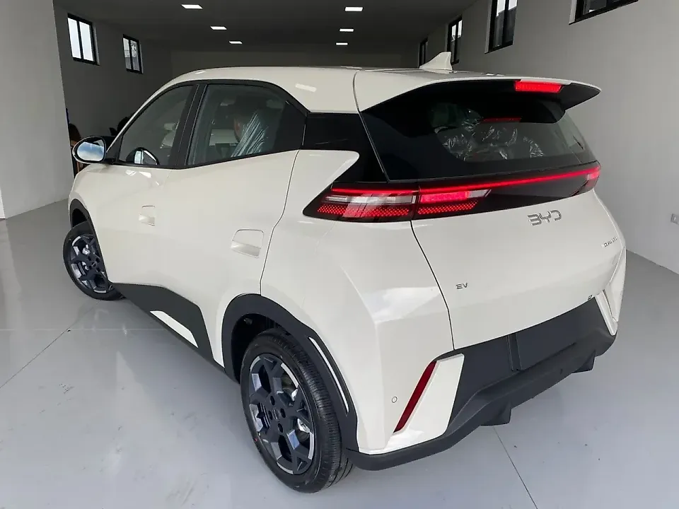 BYD Dolphin Mini - Imagem 4