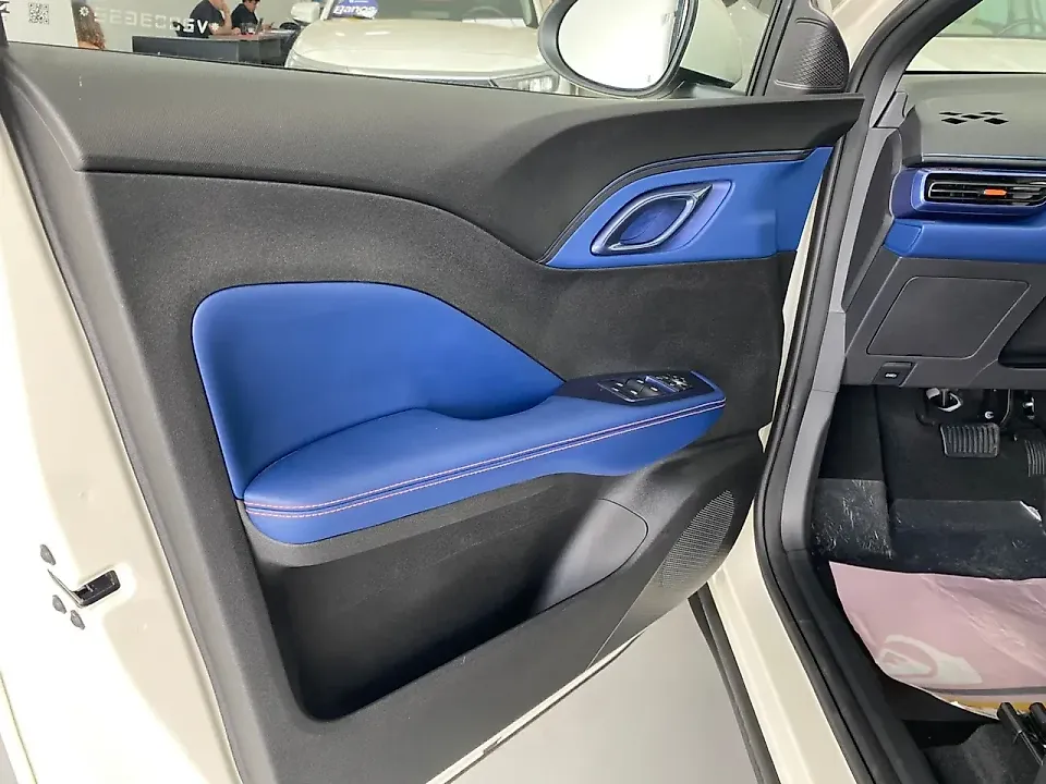 BYD Dolphin Mini - Imagem 12