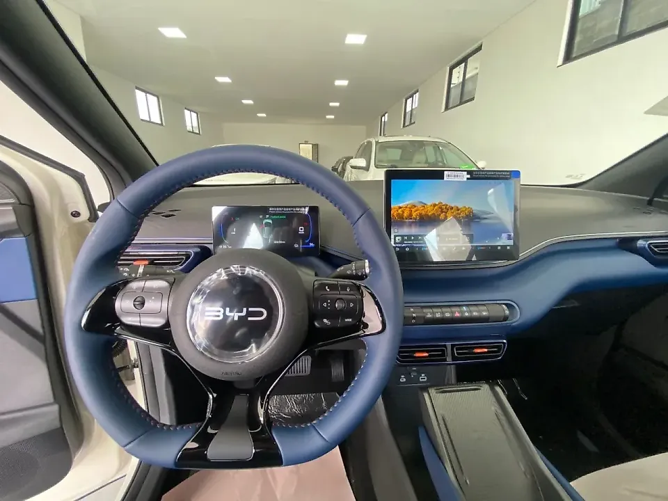 BYD Dolphin Mini - Imagem 13