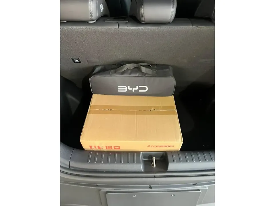 BYD Dolphin Mini - Imagem 6