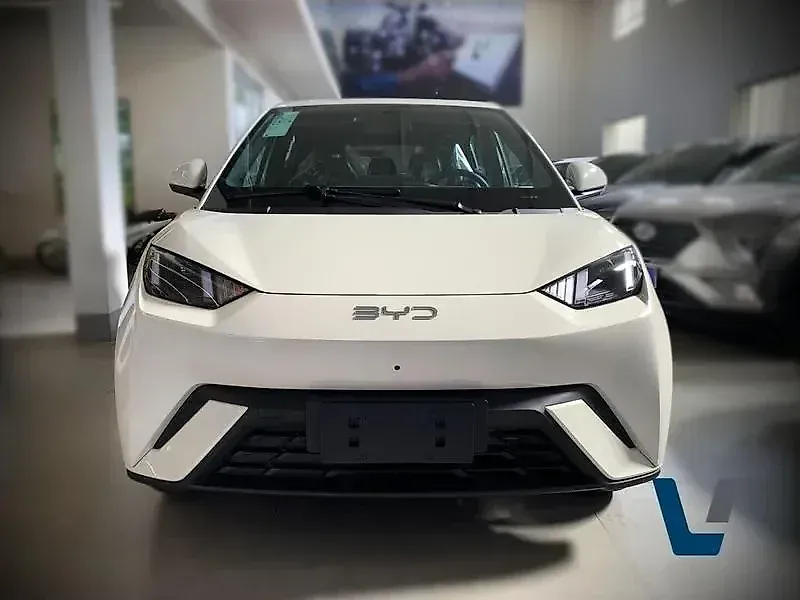 BYD Dolphin Mini - Imagem 2