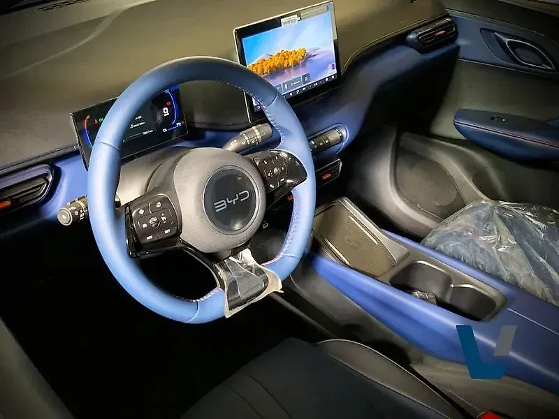 BYD Dolphin Mini - Imagem 9