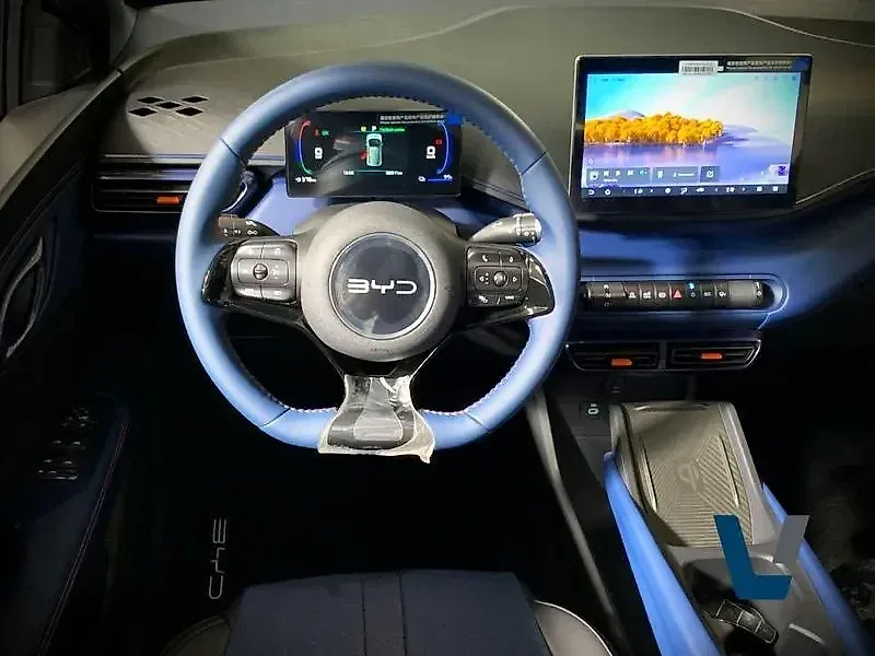 BYD Dolphin Mini - Imagem 7