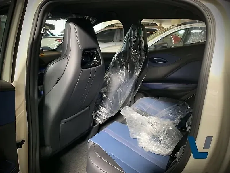 BYD Dolphin Mini - Imagem 11